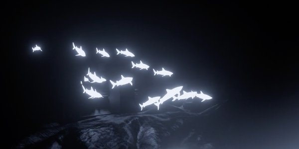 requin lumineux