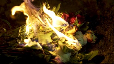 Rigid disco clip de Colorado