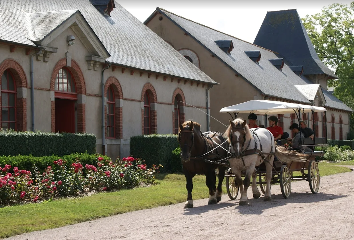 mariage-bretagne-cotedarmor-harasdelamballe-690dbfebf1b22176111310.png