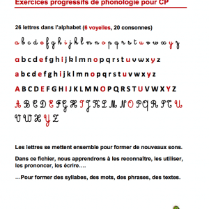 L’univers de la syllabique, exercices progressifs de phonologie pour une année de CP (version 2019)