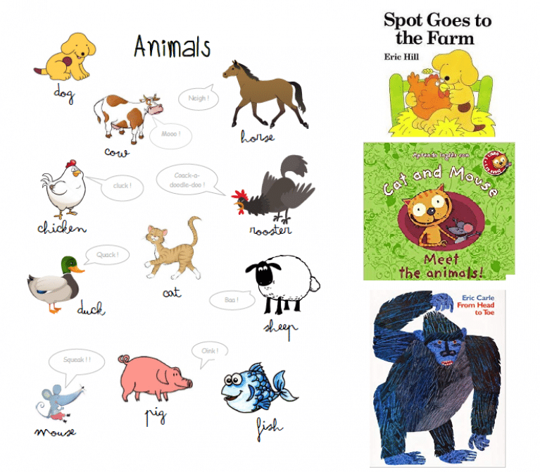 séquence anglais animals Anglais CE1, CE2, CM1, CM2