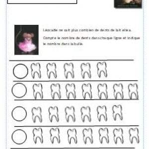 Fiches d’activités GS sur l’album « Le rendez vous de la petite souris. »