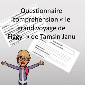 questionnaire de lecture « le grand voyage de Figgy » de Tamsin Janu