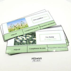 30 cartes à pince sur le thème du printemps: NATURE ET EXPANSION DU GN