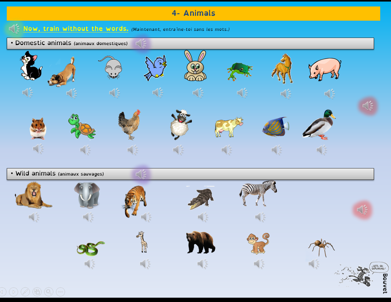 Les animaux Diaporamas audio Anglais CE2/Cycle 3