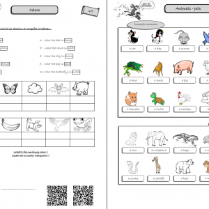 Leçons d’anglais Ce2 – cycle 3