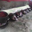 FAUCHEUSE LELY SPLENDIMO CLASSIC 280
