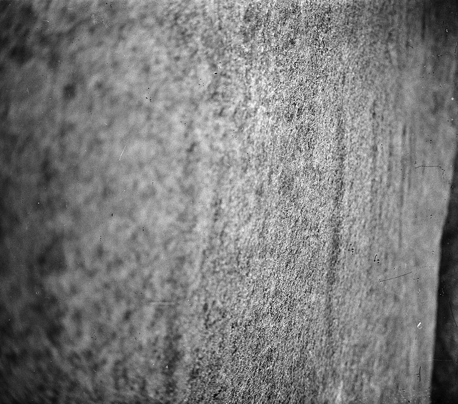 vignette