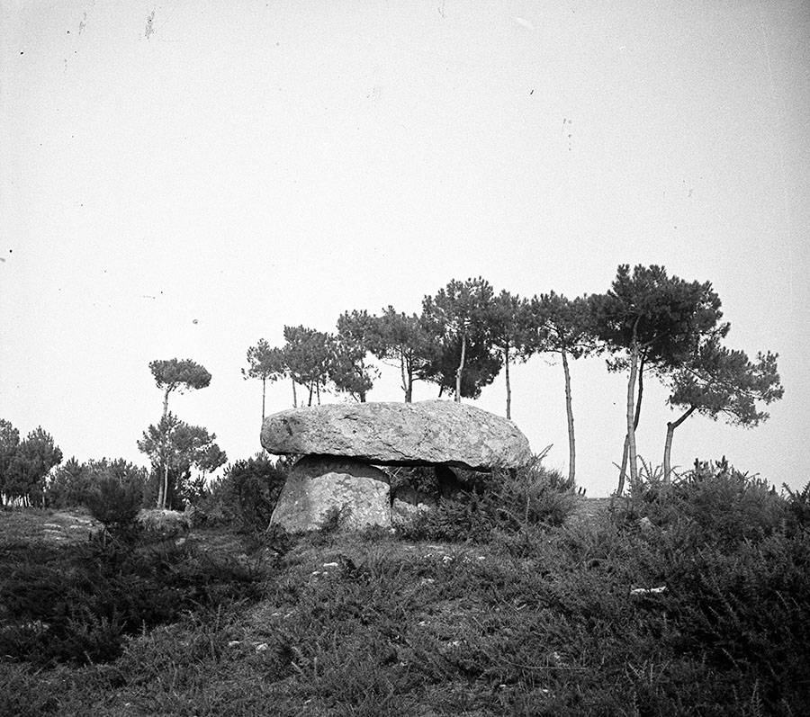 vignette