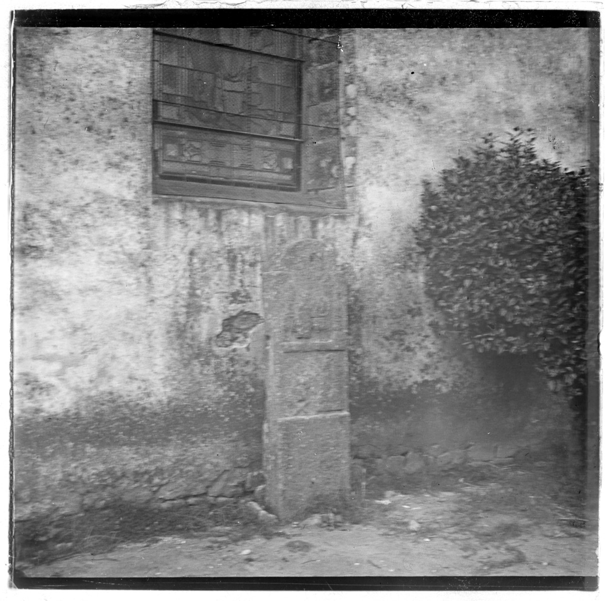 vignette