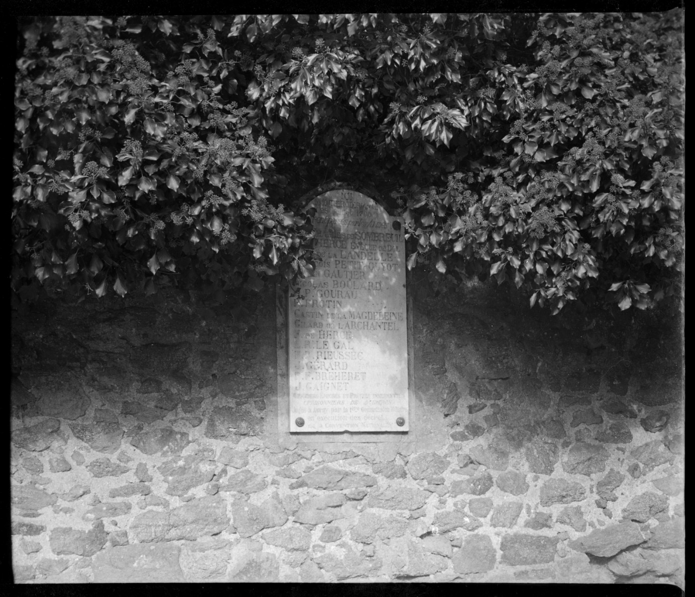vignette