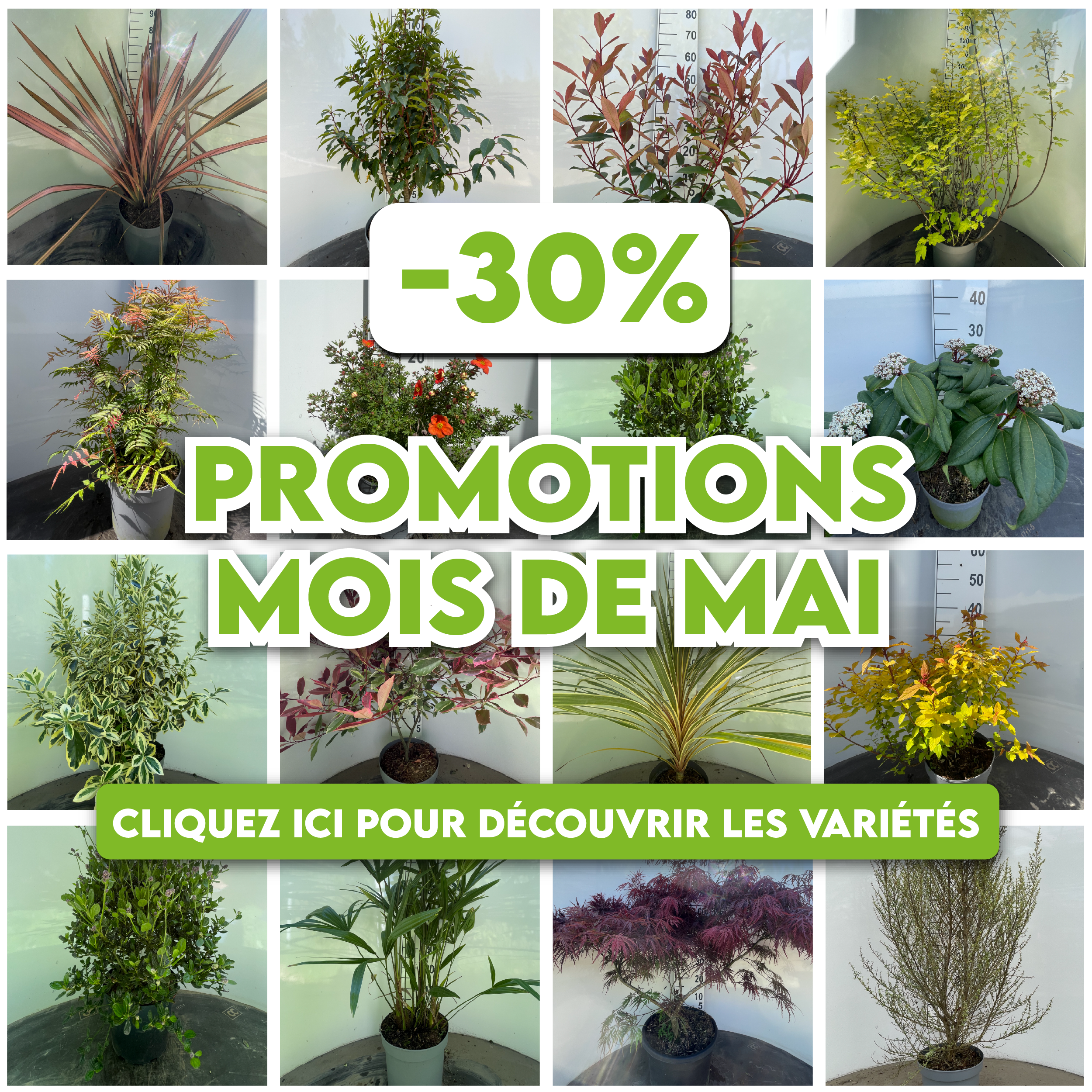 promotion-mai-2026-69f9bb649ec48243313284.png