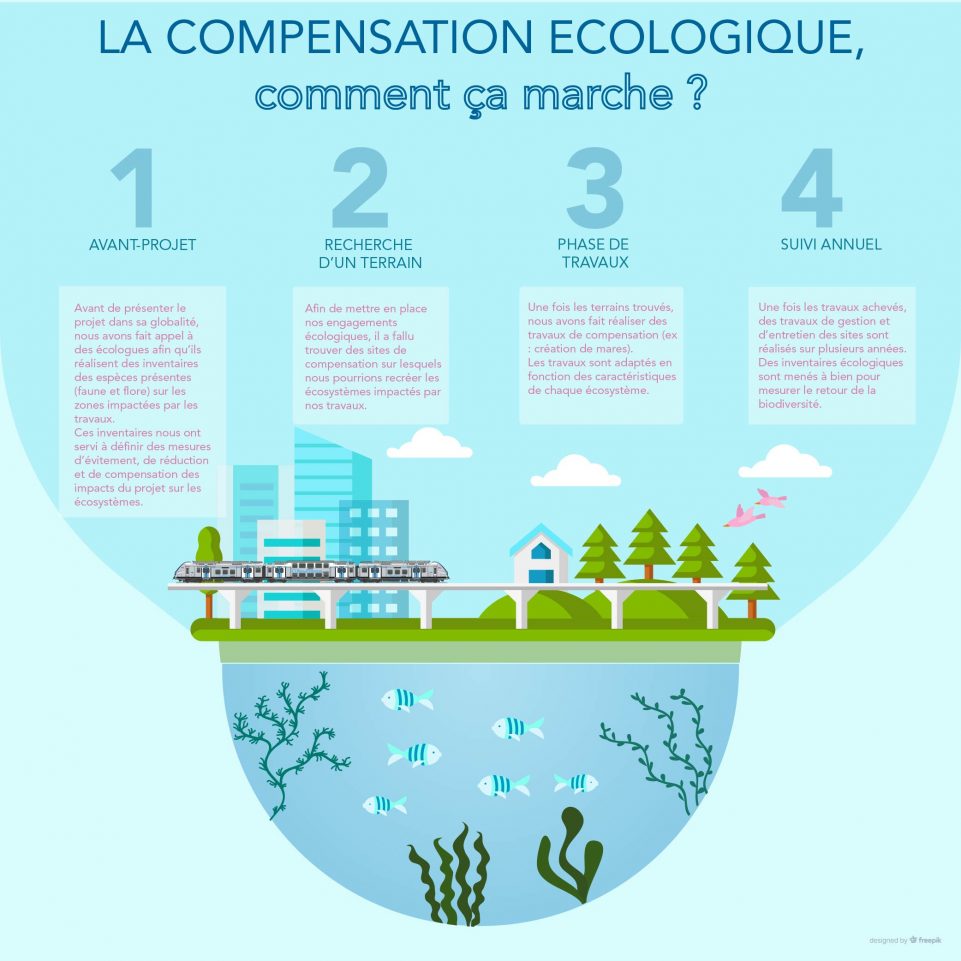 Infographie qui explique en 4 temps phases le principe de la compensation écologique : l'avant-projet pendant lequel sont menées des études de terrains par des écologues afin de connaître les futurs terrains impactés par les travaux. Deuxième phase : la recherche d'un terrain à proximité de la zone qui permet de restaurer les écosystèmes. Ensuite la phrase de travaux, par exemple la création de mares, puis enfin la phase de suivi annuel qui sert à mesurer la biodiversité sur les terrains compensés.