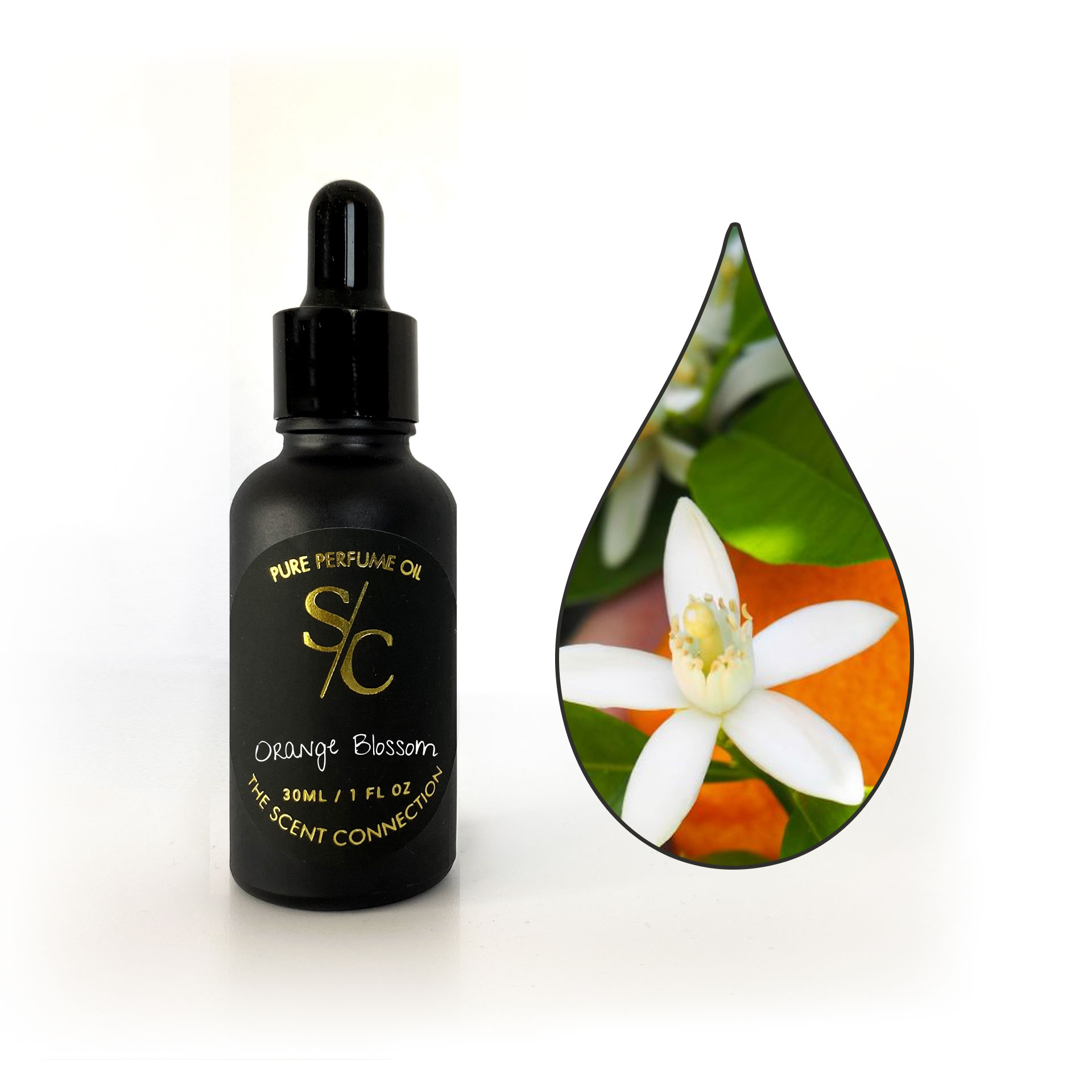 Orange blossom deals perfume