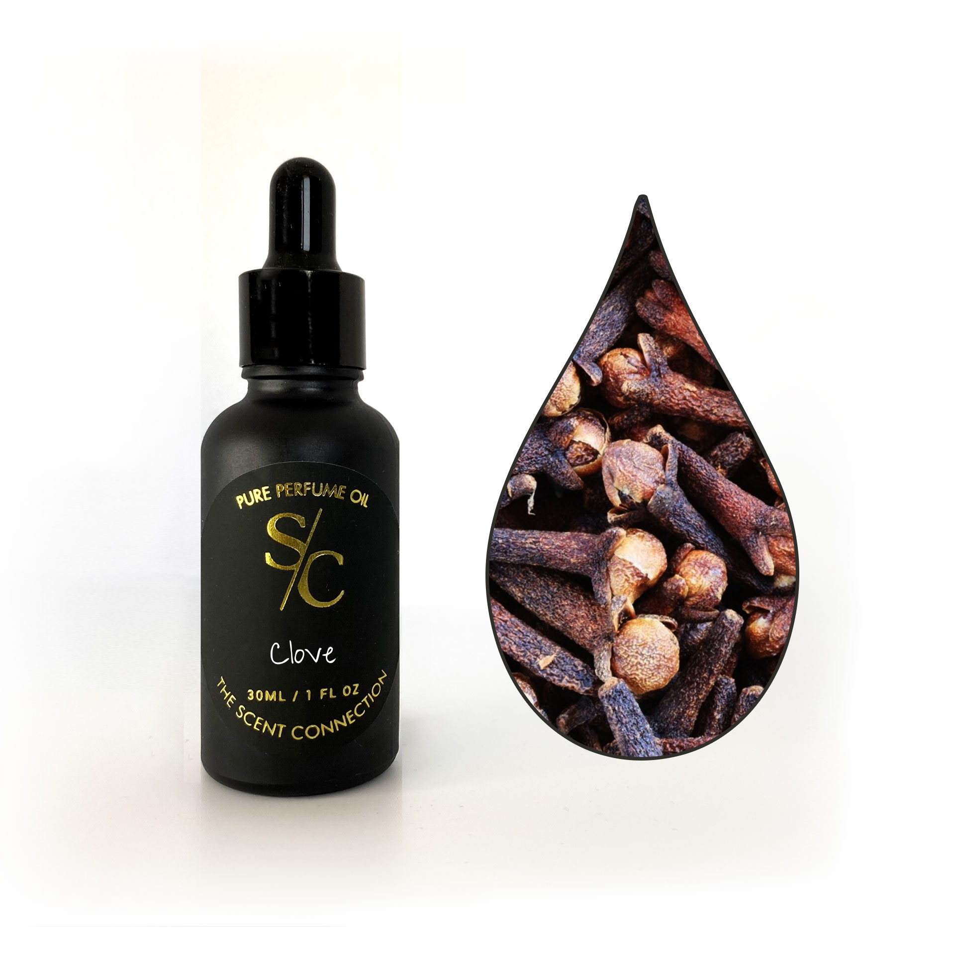 Clove perfume best sale