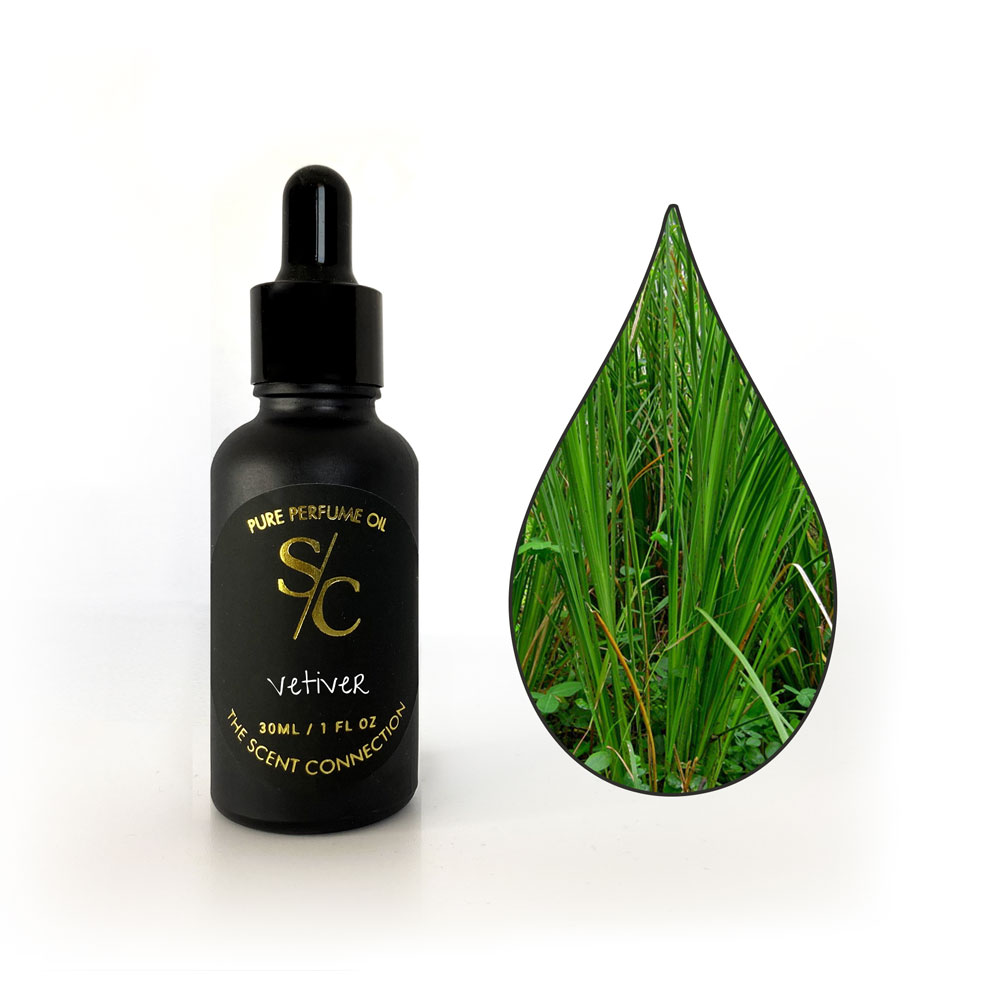 vetiver essential oil VETIVER - Shop apolline.tw Fragrances - Pinkoi