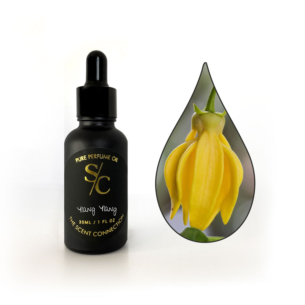 Ylang ylang online perfume