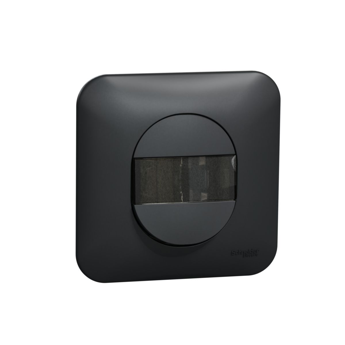 Ovalis - poussoir - porte-étiquette - 10a - à griffes avec plaque -anthracite