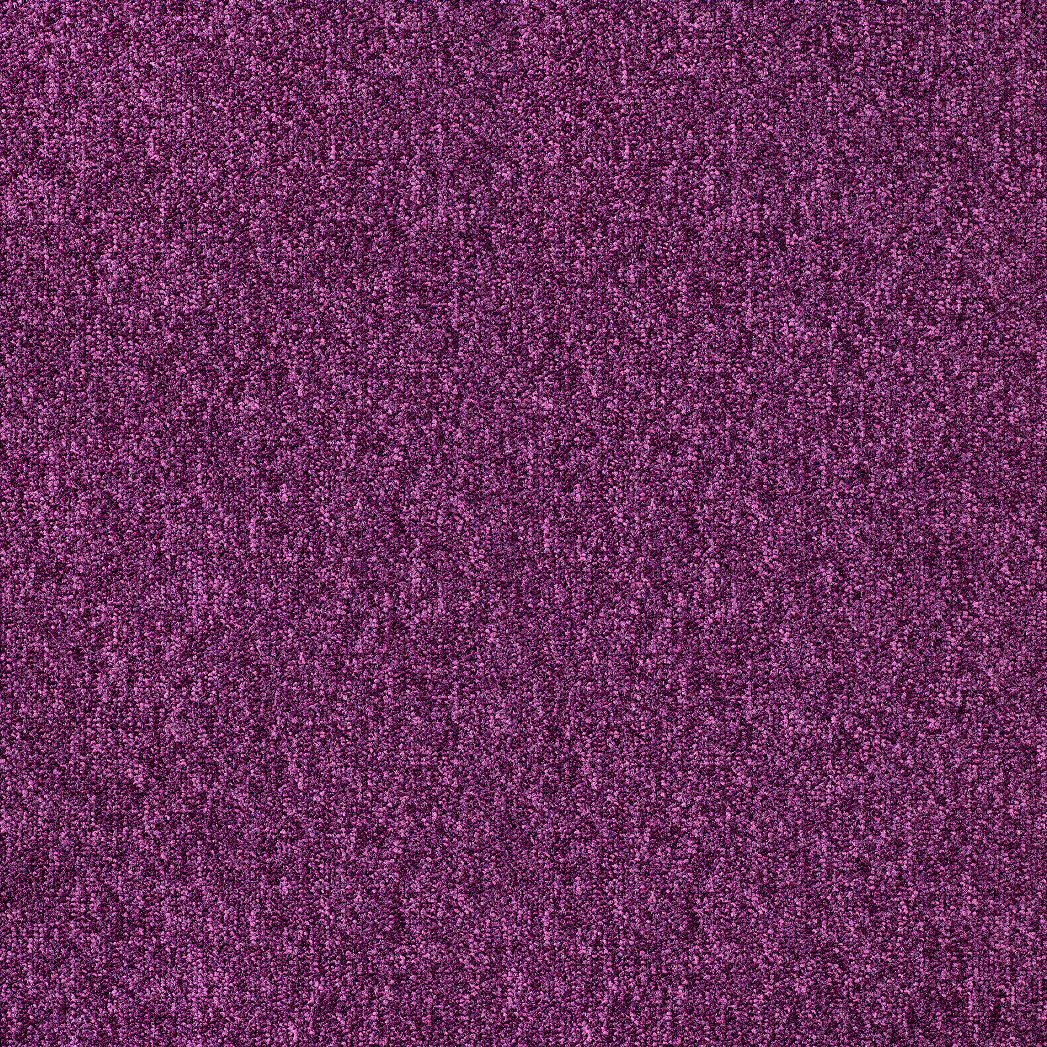 Dalle moquette factory 0.5X0.5 100% Polyamide