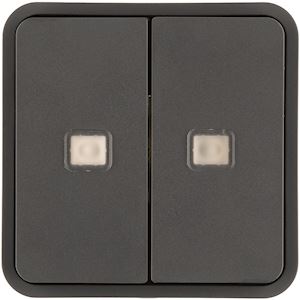 Cubyko 2 touches knx à voyants coloris gris