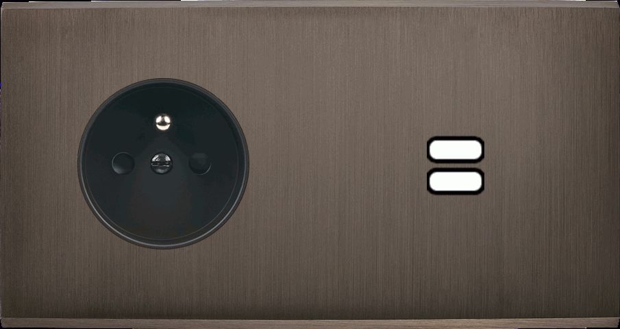 Façade confidence laiton canon de fusil double horizontale prise de courant 2p+t ouverture pour char