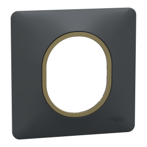 Ovalis - plaque de finition - 8 crans de fixation - régulation possible sur le mur - 1 poste anthrac