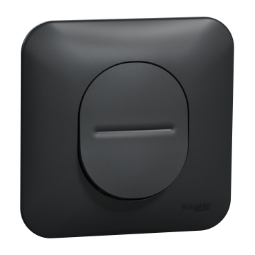 Interrupteur à deux voies 10a avec griffes