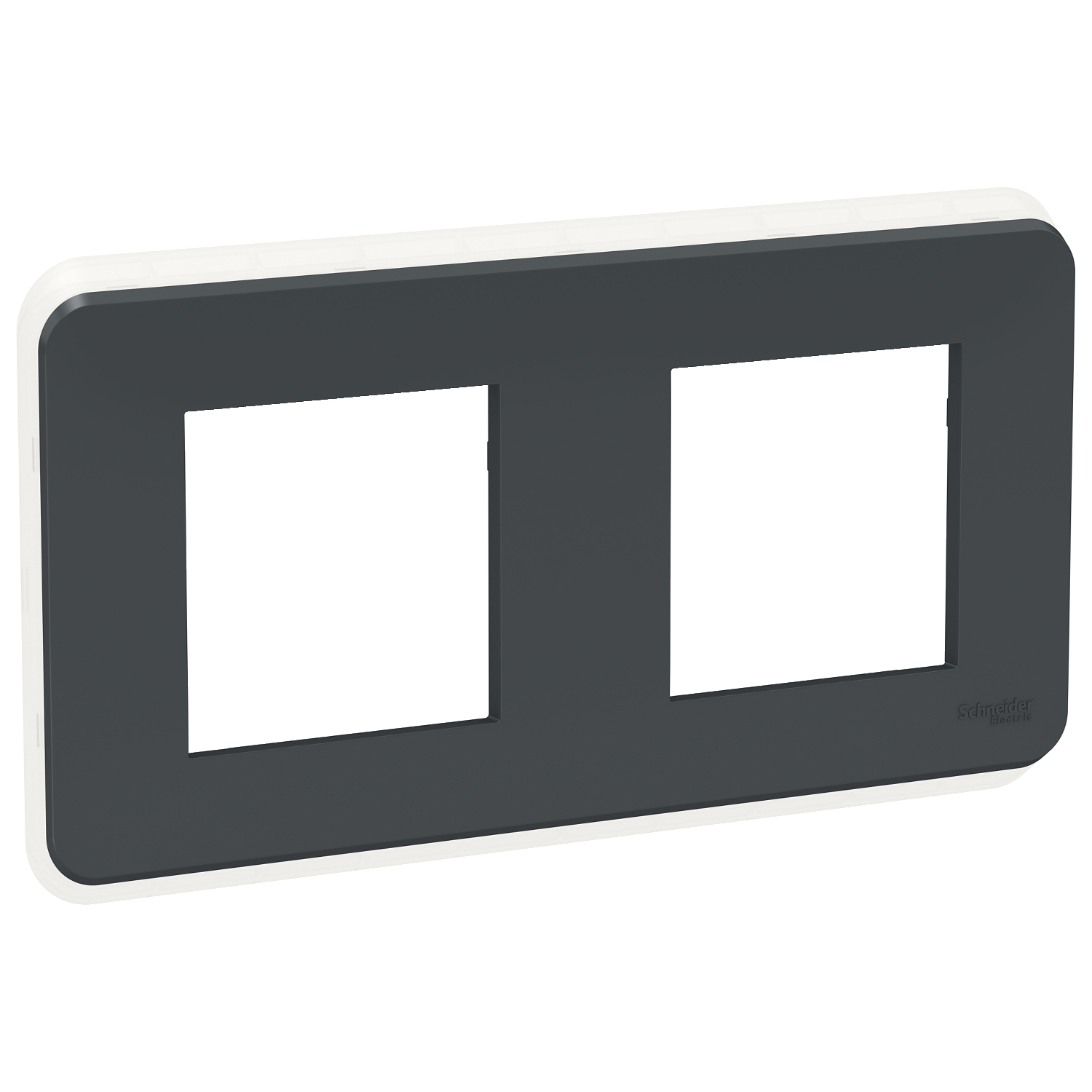 Unica pro - plaque de finition - anthracite - 2 postes