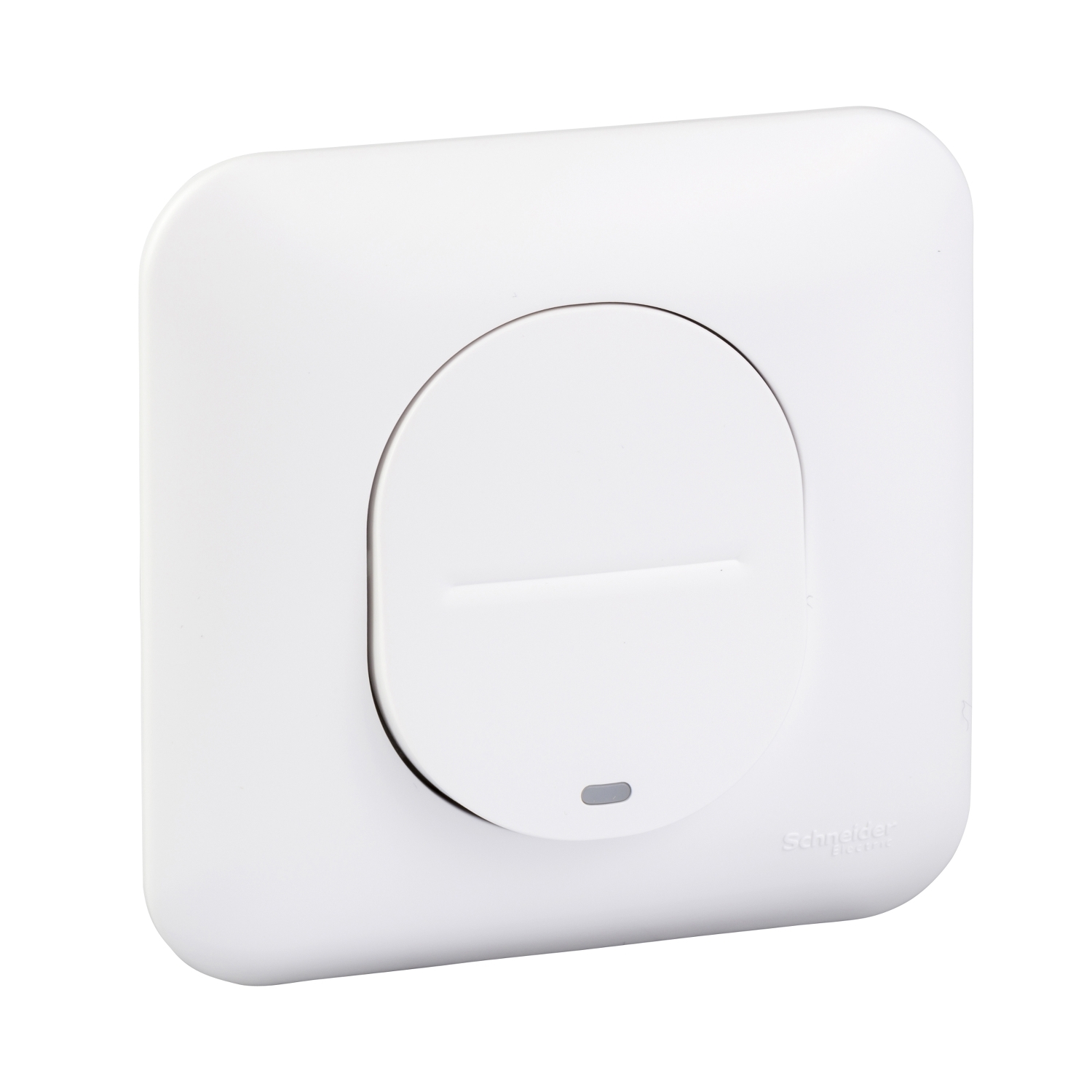 Ovalis - interrupteur simple - lumineux temoin ou localisation-mécanisme avec une plaque de fixation