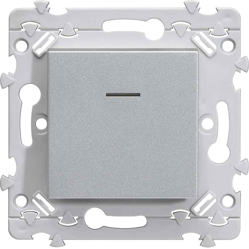 Essensya poussoir inverseur 1o+1f à voyant titane