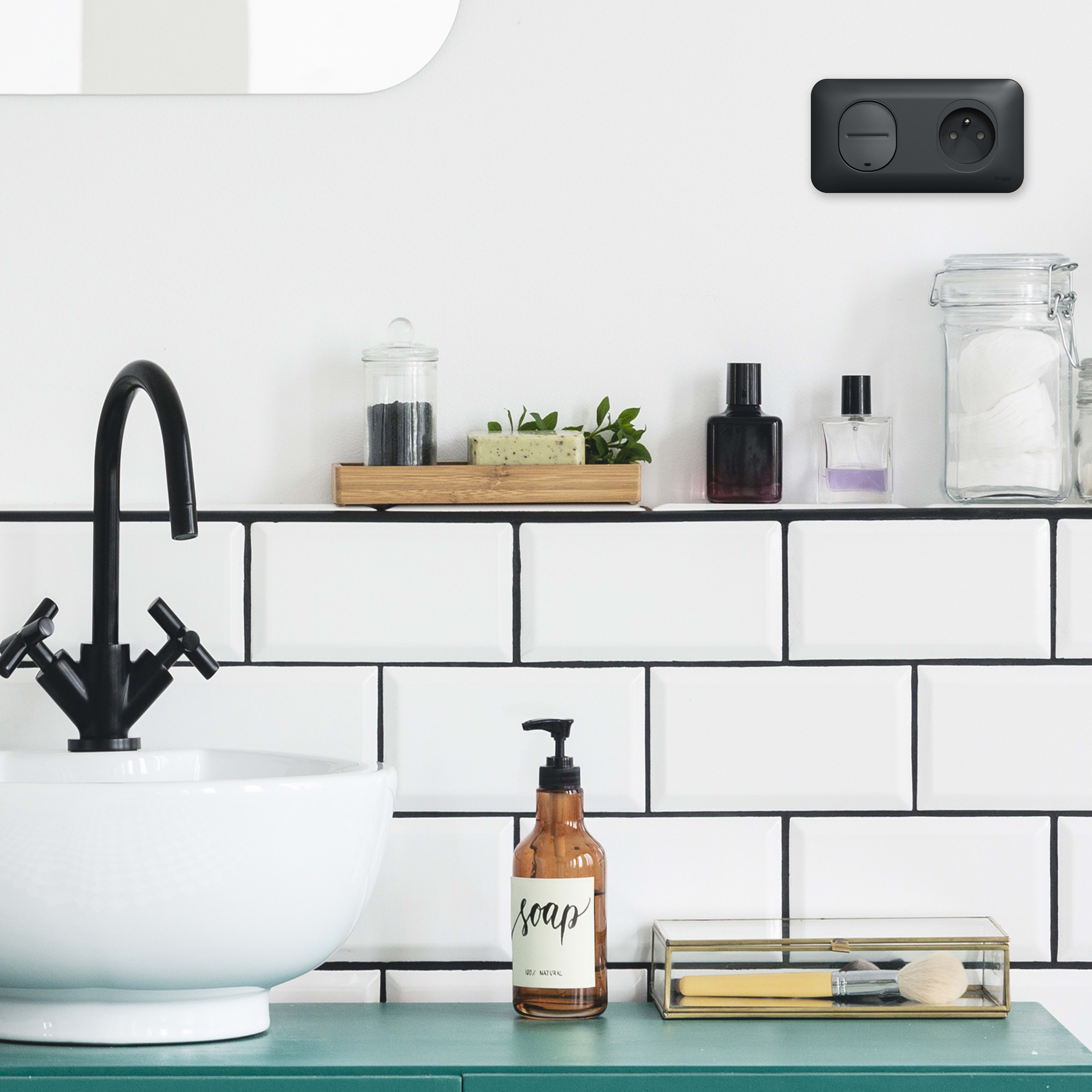 Ovalis - interrupteur - lumineux temoin - localisation avec plaque -anthracite