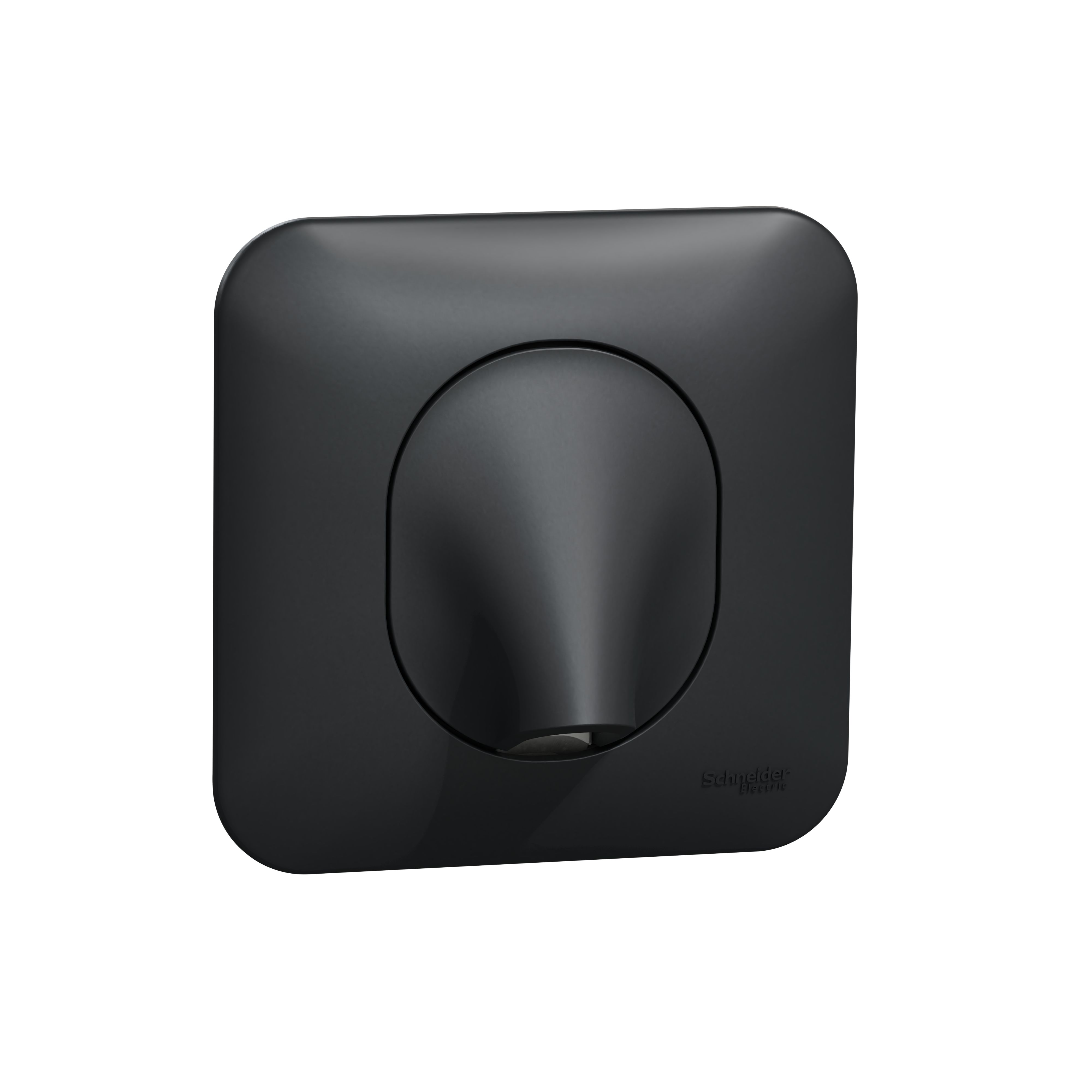 Ovalis - sortie de cable - 16a - 2 connecteurs - fixation vis - anthracite-mécanisme avec une plaque