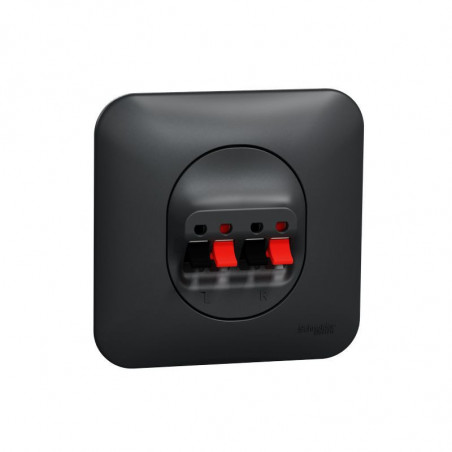 Ovalis - prise haut-parleurs 2 sorties - 4 bornes à ressorts - fixation par vis - anthracite-mécanis