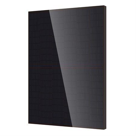 Panneau photovoltaique - dmegc - 410w - full black