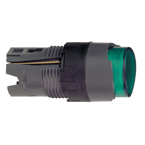 Pouss.lumi.dep.ron vert