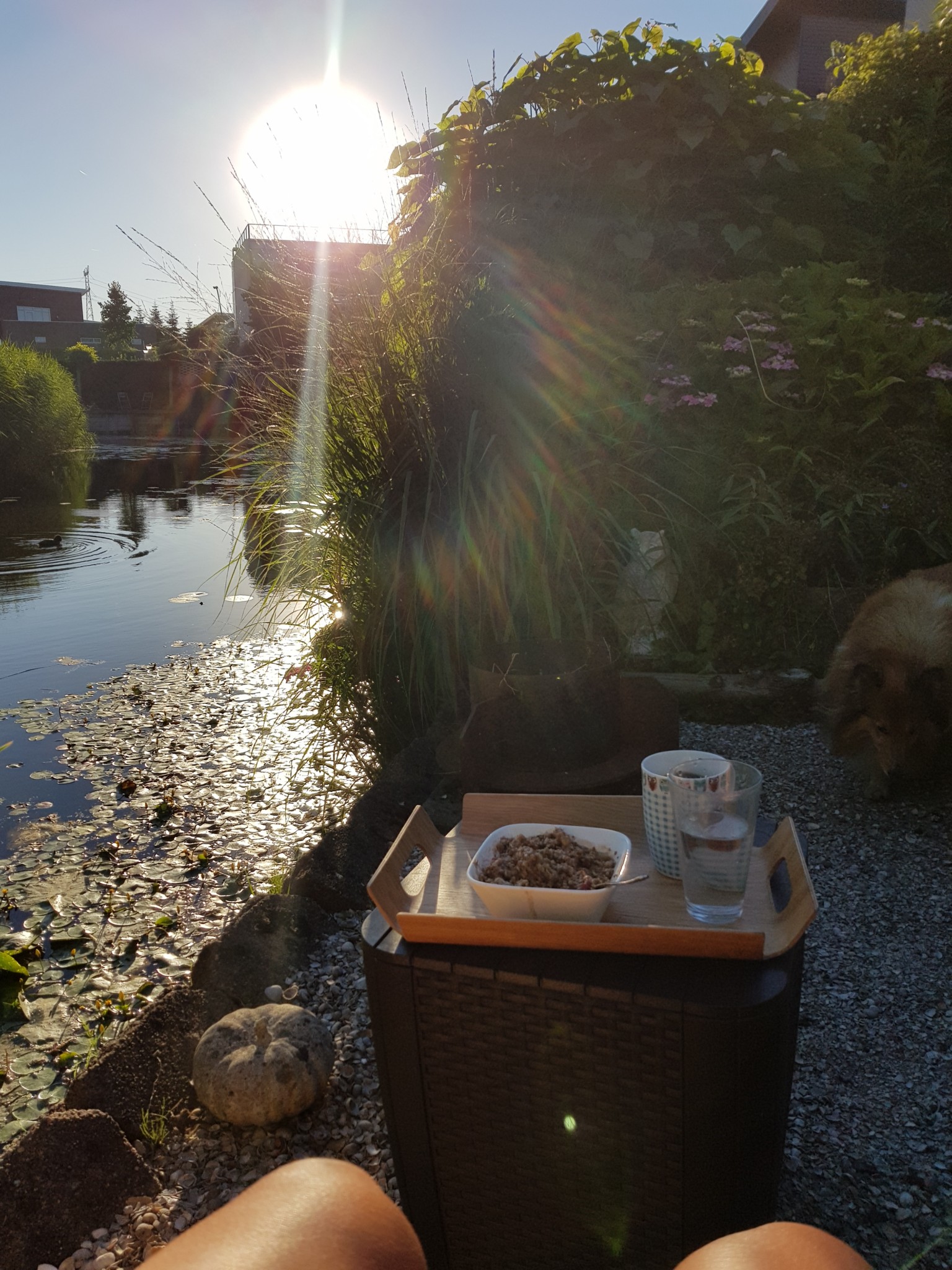 zomer