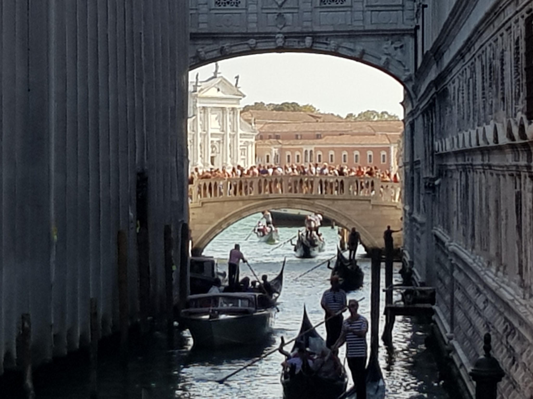 Venetie