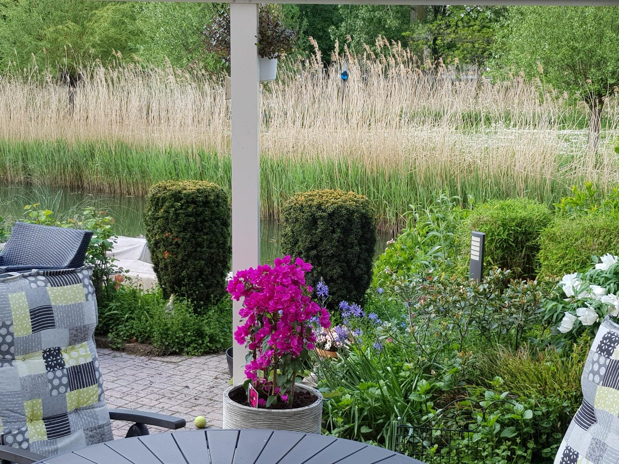 Groen in je tuin