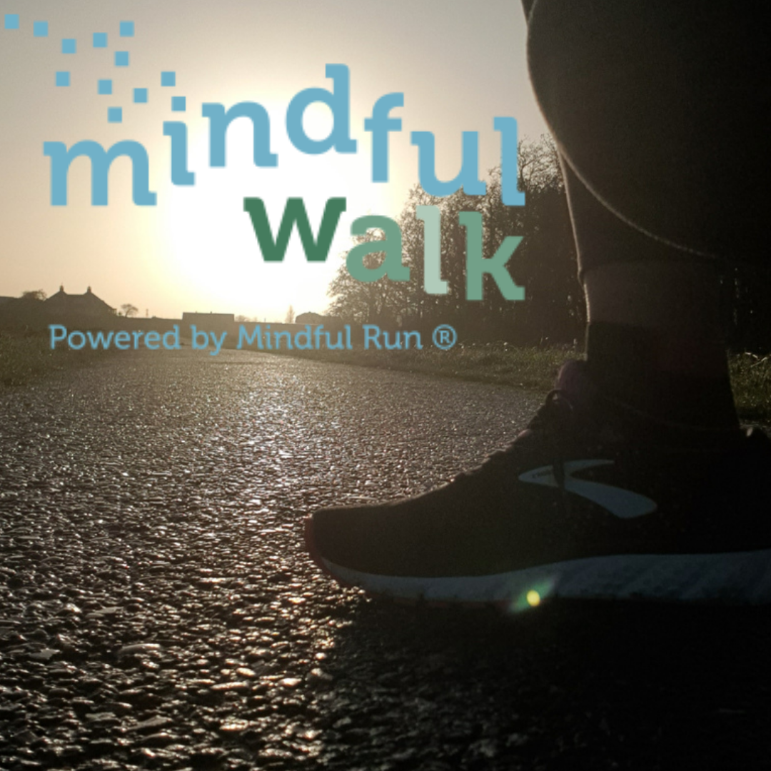 cursus mindful walk