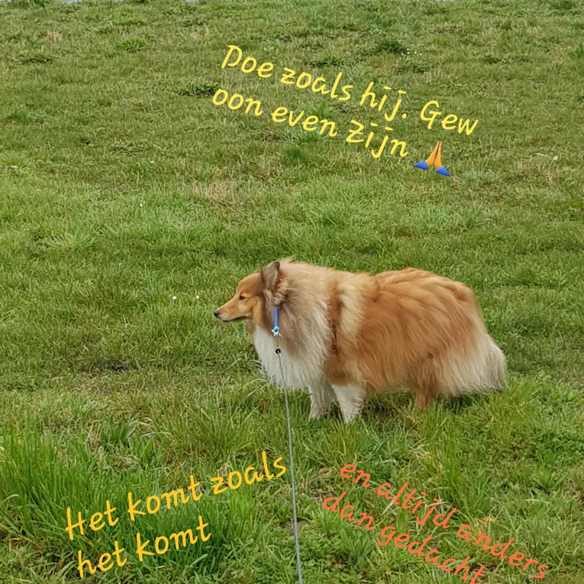 mindful blijven