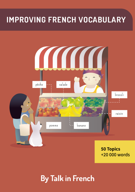 best-french-vocabulary-e-book-best-french-vocabulary-books