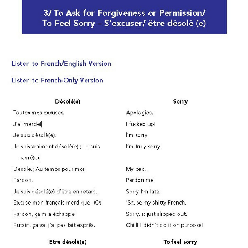 To Learn French Buy French Slang Phrases Book Talk in French Store