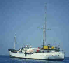 26_05_1973_voiceofpeace