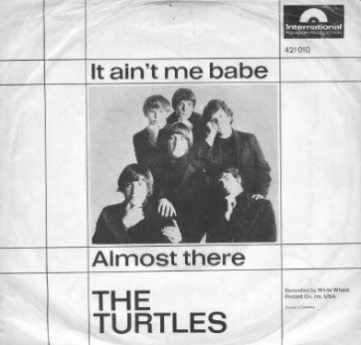 1965_turtles