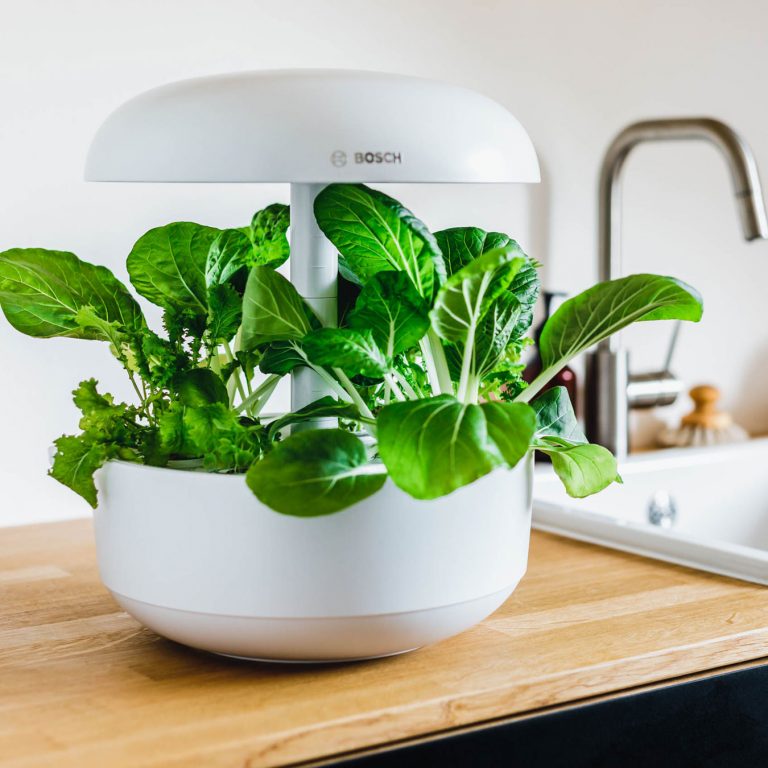 Cómo montarte tu propio huerto urbano dentro de casa