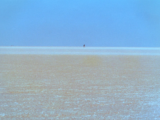 guess this movie snapshot