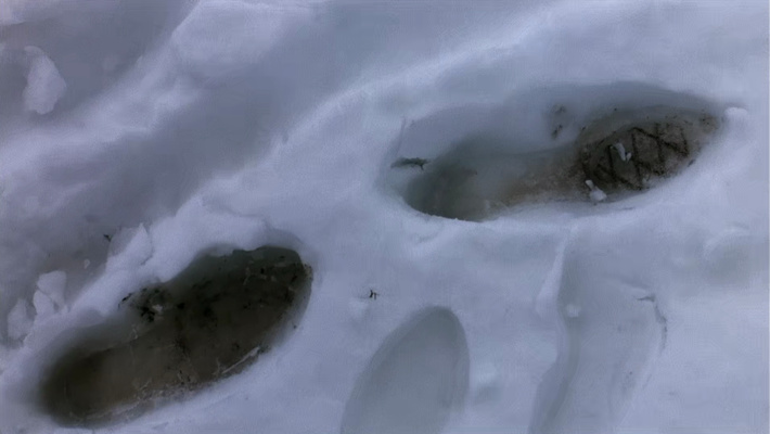 guess this movie snapshot