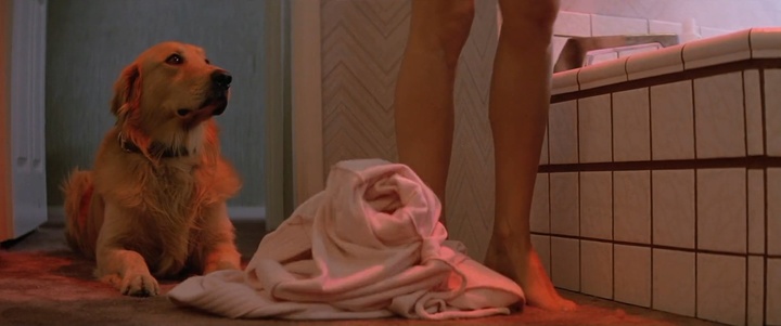 guess this movie snapshot