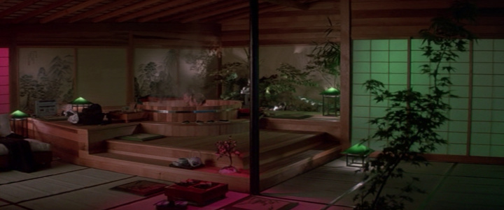 guess this movie snapshot