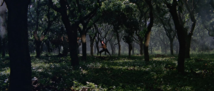 guess this movie snapshot